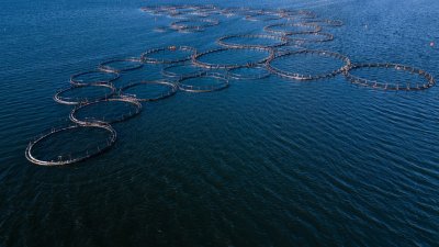 Эксперт рассказал, как подготовиться к проверкам и избежать штрафов в условиях реформы мелиорации-2026