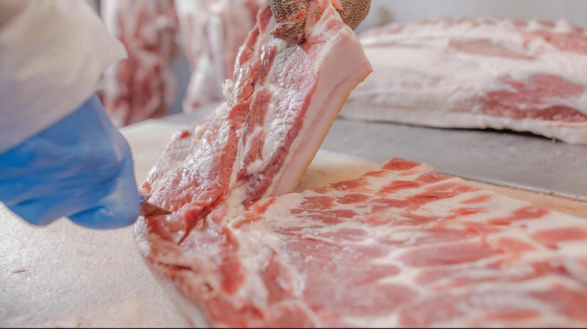 freepik__expand__69039