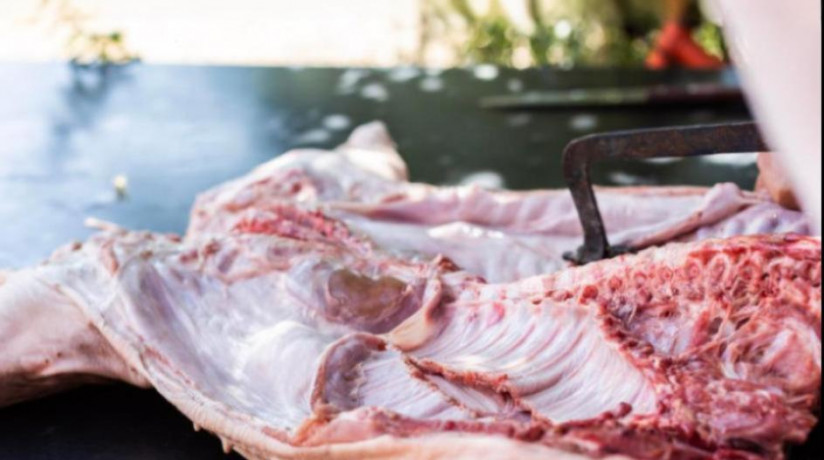 freepik__expand__82927