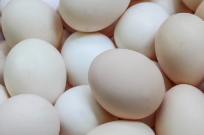 В Ленинградской области обеспечили птицеводческие предприятия инкубационным яйцом бройлеров