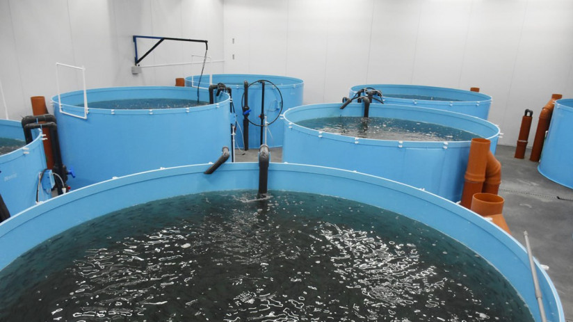 Калининград УЗВ п.Прудное