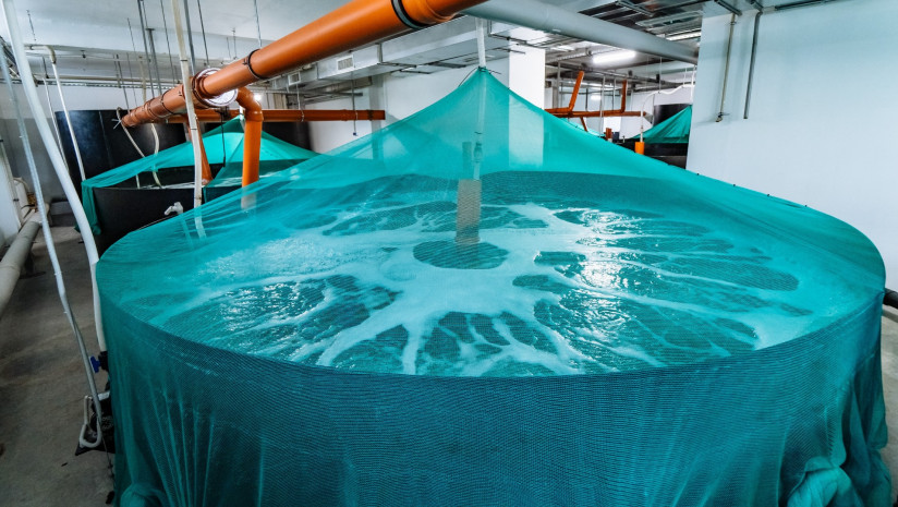 УЗВ Премиум фото 169