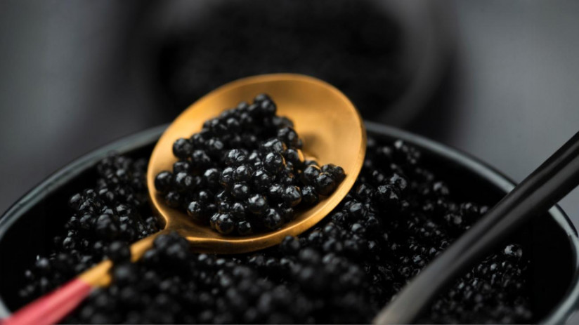 freepik__expand__32937