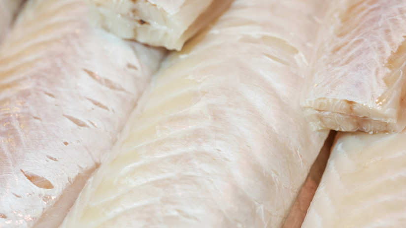 close-up-fresh-fish-meat