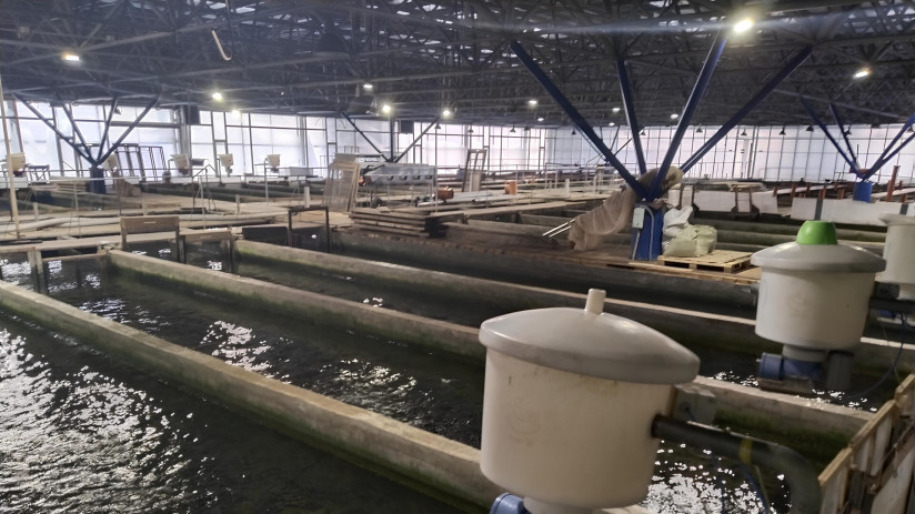 IMG_20240112_102401 (1) (1)