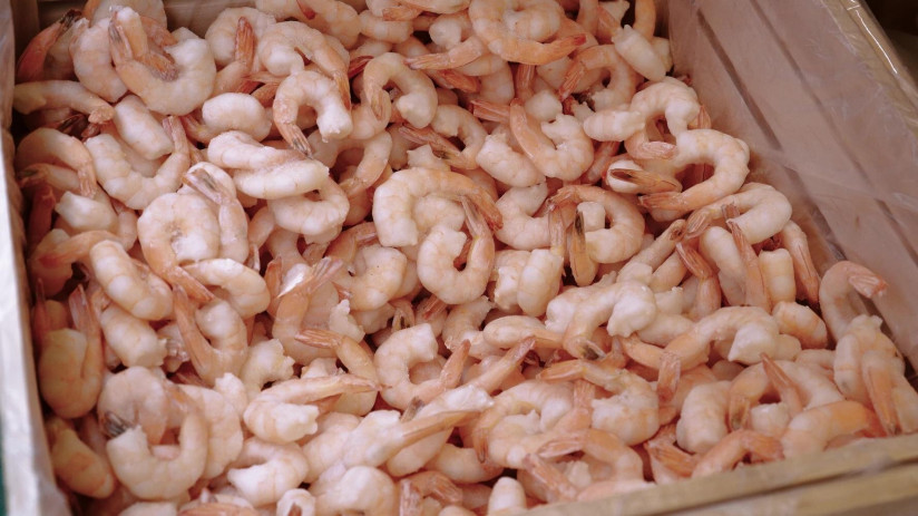 freepik__photo-a-closeup-overhead-view-of-a-large-pile-of-c__55393