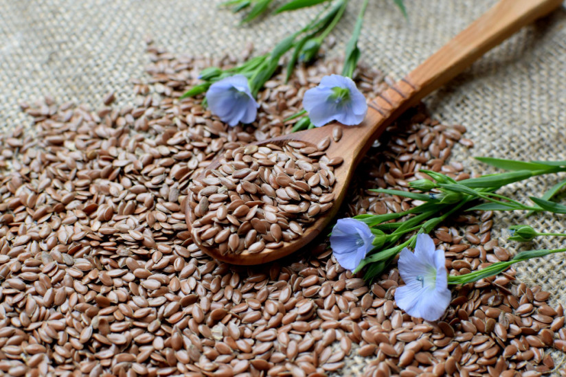 Масличный лен