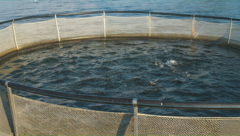 freepik__expand__5107