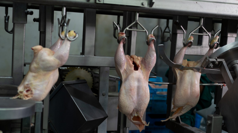 machine-with-meat-hanging-from-back