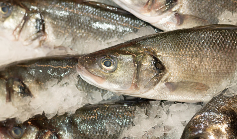 coolled-fresh-trout-fish-sale-supermarket