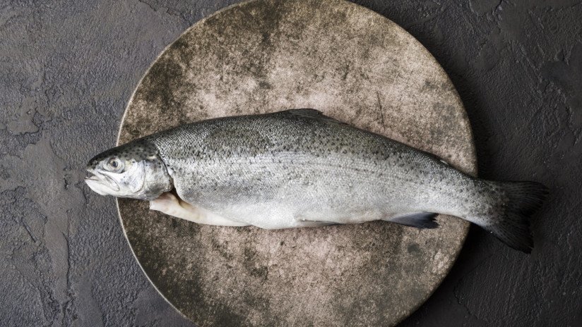 top-view-fish-plate
