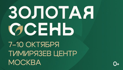 426х240 px