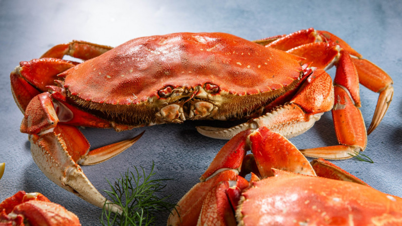 platter-king-crabs-with-butter-lemon
