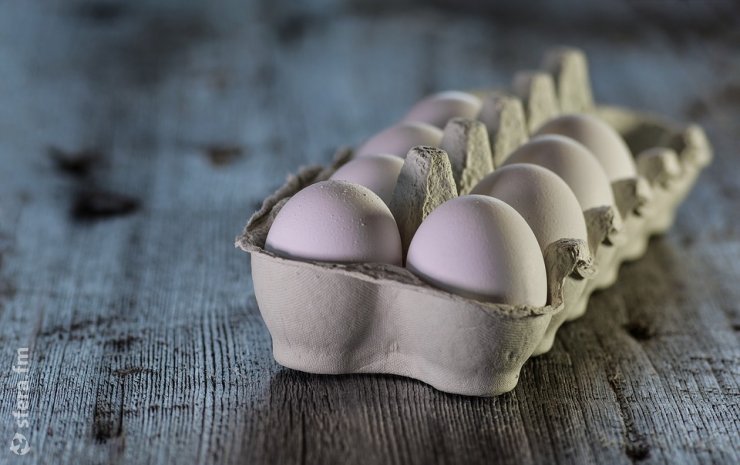 ГК «Продо» продала производство яиц в Новосибирской области