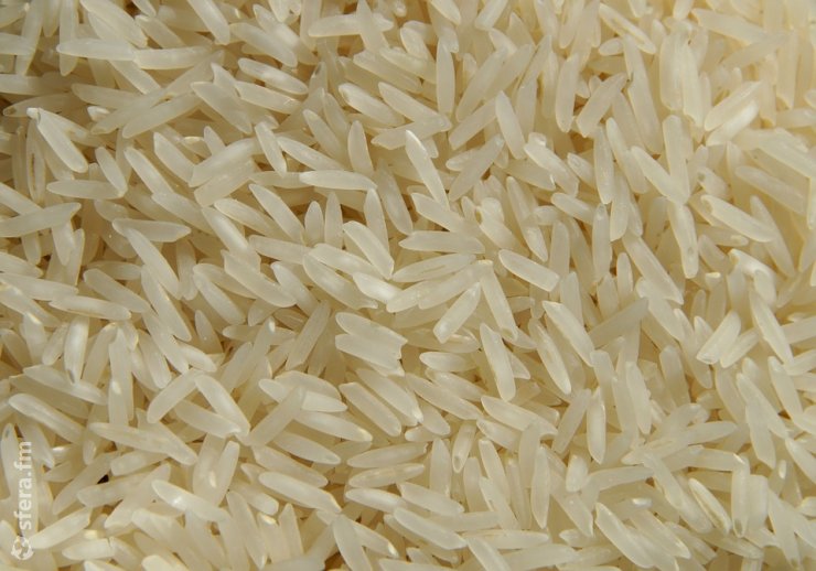 Ученые США выяснили, что Золотой рис поможет бороться с дефицитом витамина А