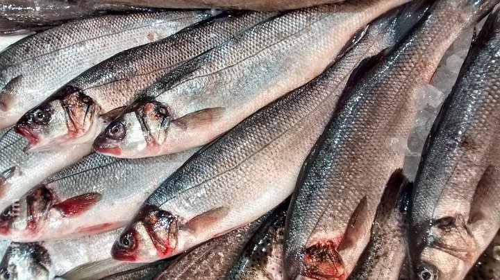 Потребление рыбы за последние три года сократилось с 15 кг до 13 кг на человека