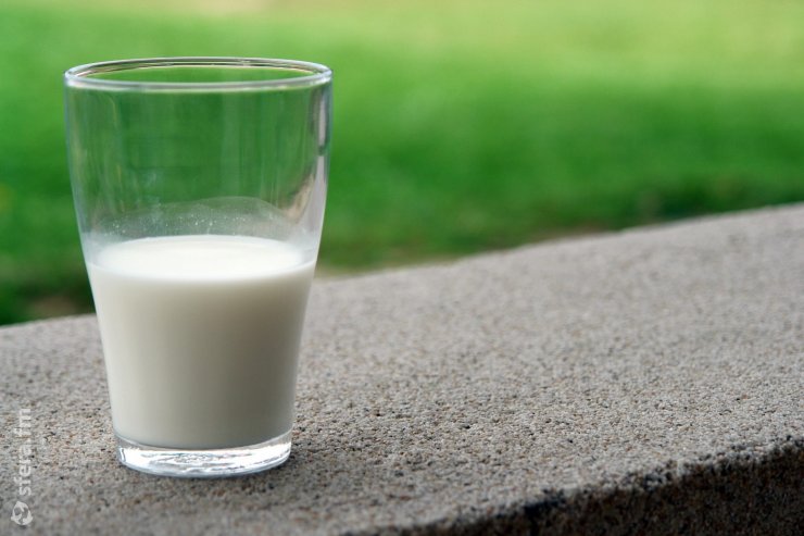 Частные молочные предприятия России готовы обеспечить внутренний рынок молочной продукцией