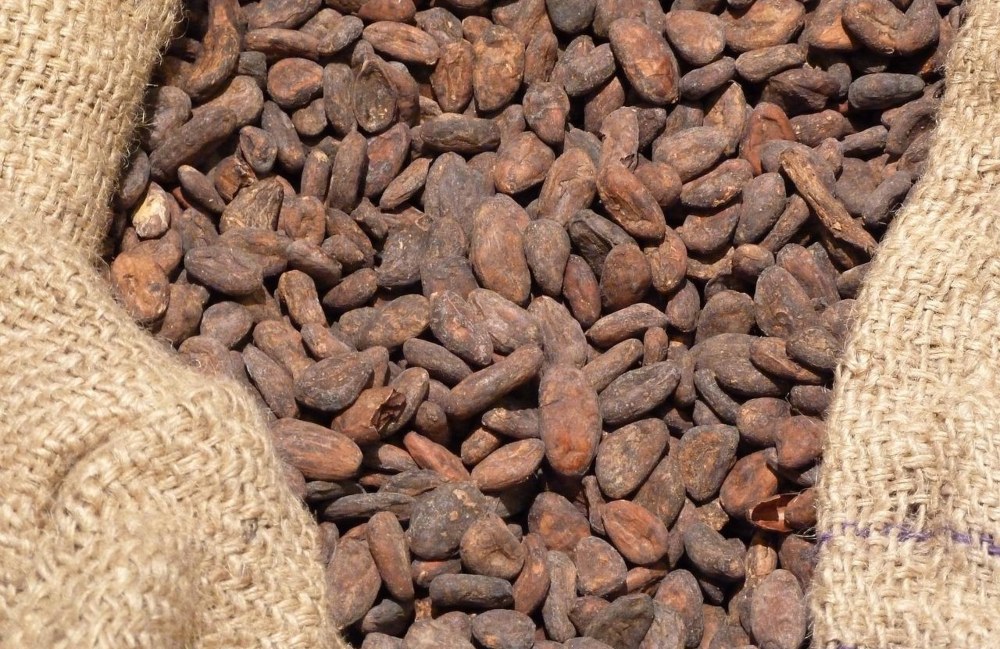 Компания «Аронап» построит завод по производству какао в Ярославской области