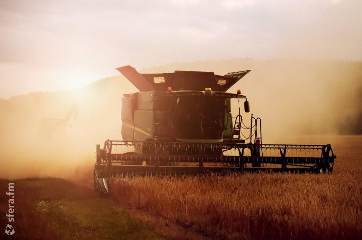 В России посевная площадь зерна снизилась на 0,7 млн га к июню 2022 года