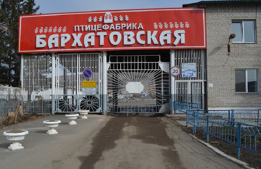 Птицефабрику в Красноярском крае выставят на продажу за миллиард рублей