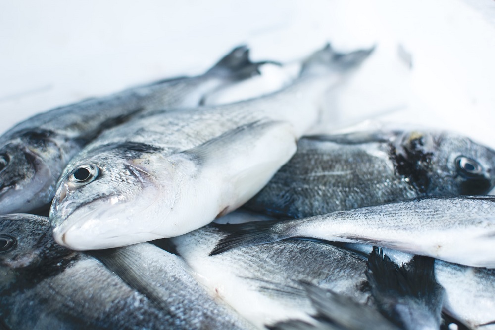 Китай привез в Приморье партию масляной рыбы с высоким содержанием ртути