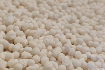 В России ввели временный запрет на экспорт аммиачной селитры