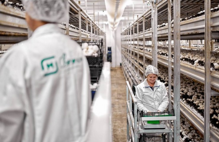 a517bf11ea9a2910fecac2b9fe609f63aed77da3