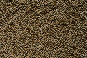 В России увеличились объемы производства гречки и риса