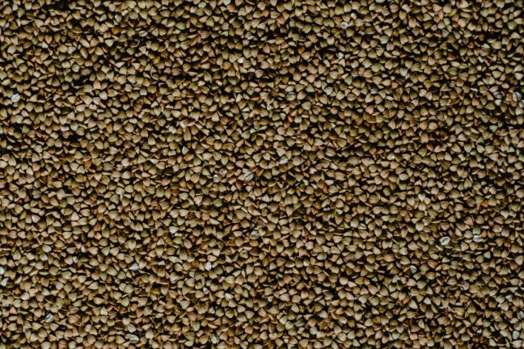 7daf49dba960a867b1a853e2adb0108a4e92c548