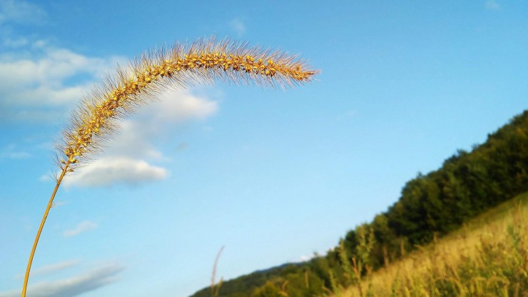 661954bc02c93e3de62a31f4c23823e2a71ab015