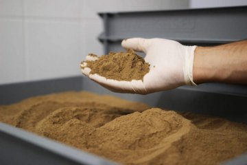 Объемы производства мясокостной муки в России достигли рекордных значений