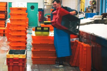 Россия опередила США в добыче минтая, но сильно уступила в переработке уловов