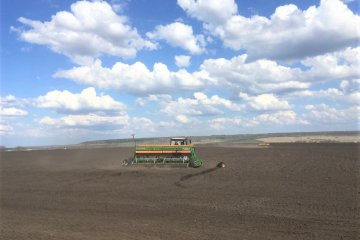 «Коноплекс» в 2022 году засеет технической коноплей около 3 тыс. гектаров