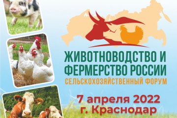 На форуме «Животноводство и фермерство России» обсудят госрегулирование в сельском хозяйстве