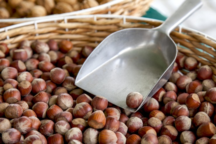 ca27aa6bcff882895489babaa1391de611b13625