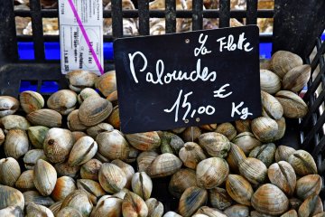 Торговля моллюсками между США и ЕС возобновится после 10-летнего перерыва