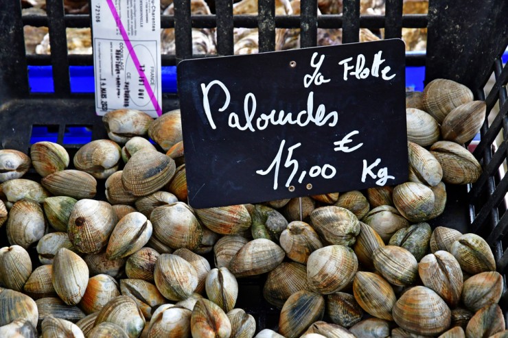 d08081bd5ad8c3a3fa0d58c1112a84e31e8af0f9