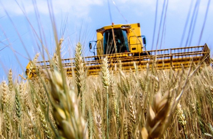 e1da195f466d261a1be9500c6f963158d8437a11