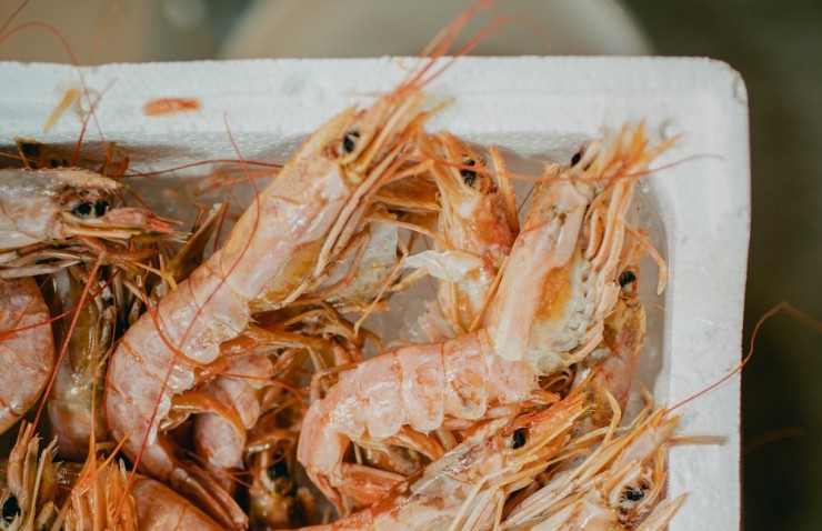 c294813085be201f0a007c7e000f98860270f095