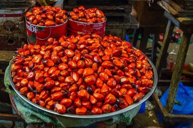 1dd144258a9b817bfb0b4989fa135f20d4468fde