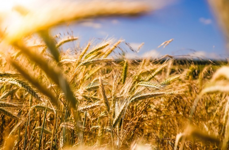 97f58789819fc113ce2bc08abacf7b3bc238ef42