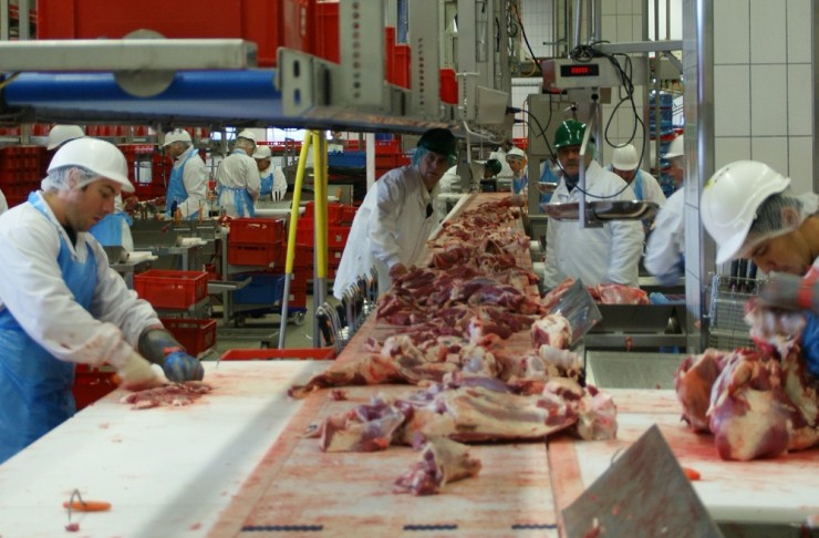 903ee5418068748ba3166b49e882d90fe15e9e19