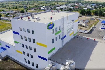 «Молвест» сообщил о планах запустить производство концентрата молочного белка