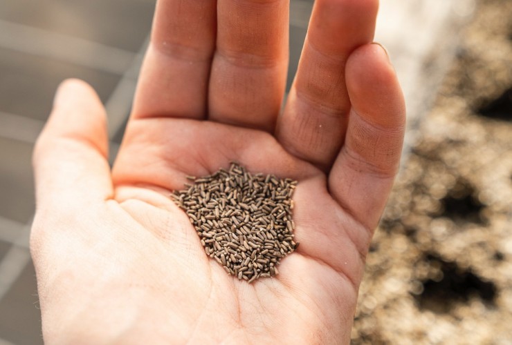 zoe-schaeffer-XuJreNkw2BM-unsplash