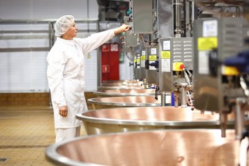 В Подмосковье запустили крупное производство твердых сыров