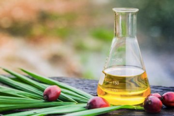 Индонезия увеличила объемы экспорта пальмового масла до 2,36 млн тонн в июле