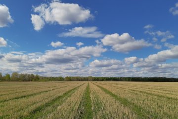 «Интерфакс»: Финансирование российского АПК в 2023 году может вырасти на 32,6 млрд рублей