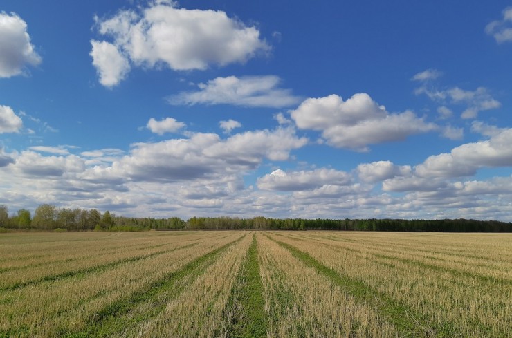 timofey-polukhin-0PBoDSL5mQk-unsplash