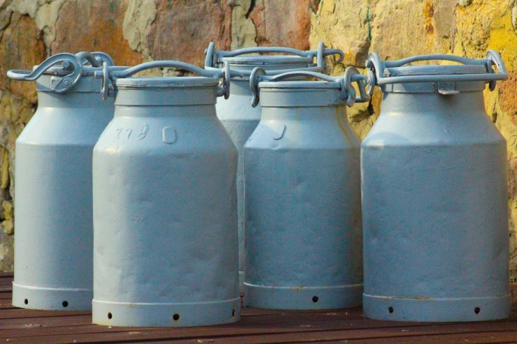 vanessa-schulze-5lTByrdKv7U-unsplash