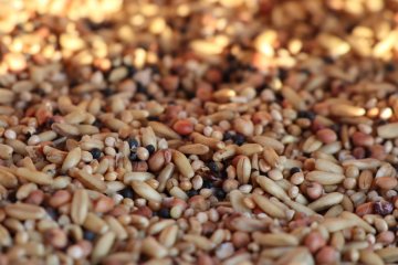 Глава ВТБ предложил ограничить западным трейдерам закупки зерна в России